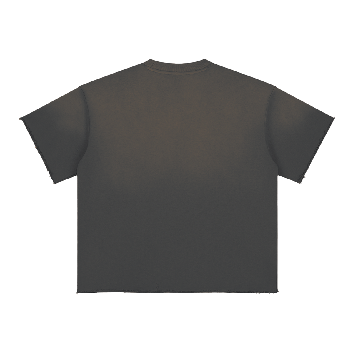 Sun Fade Raw Edge 3 Star T-Shirt